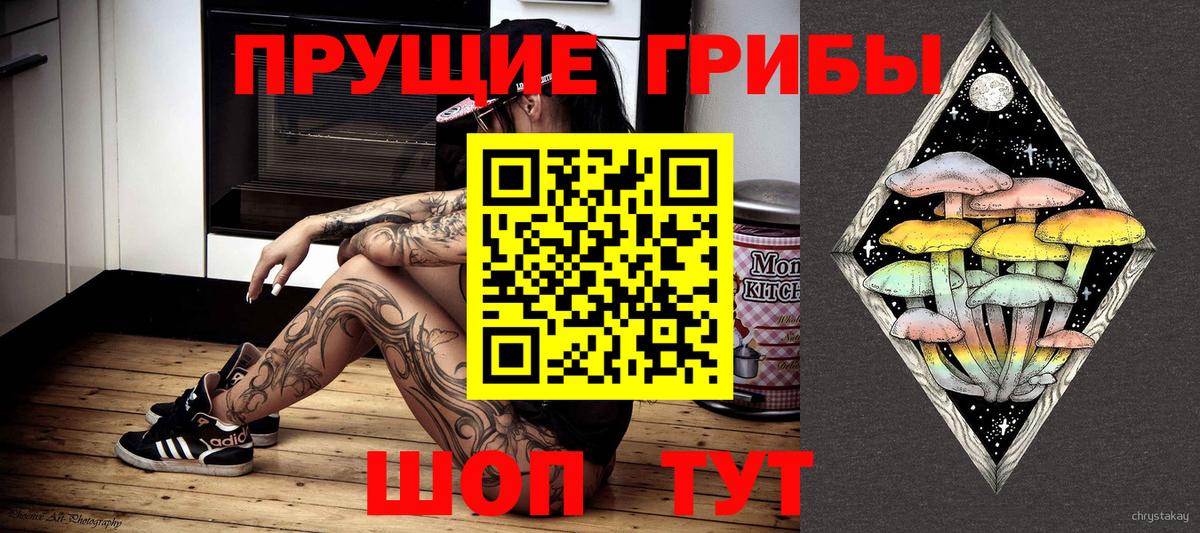 Тверь  наркота  Вход с VPN  Галлюциногенные грибы Cubensis 