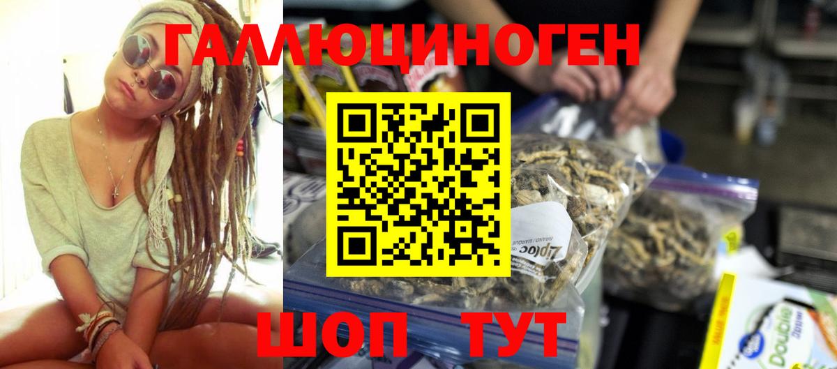 Псилоцибиновые грибы мицелий Тверь